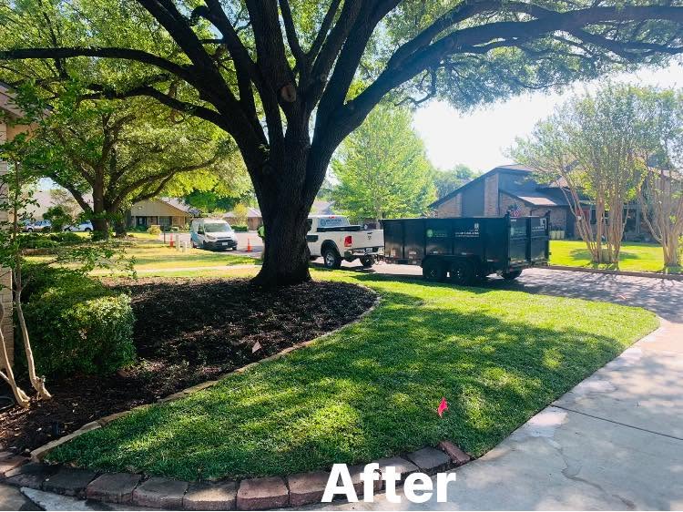 Tree care project serving the Lake Worth area