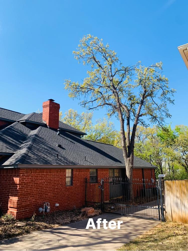 After tree removal beside a red brick home