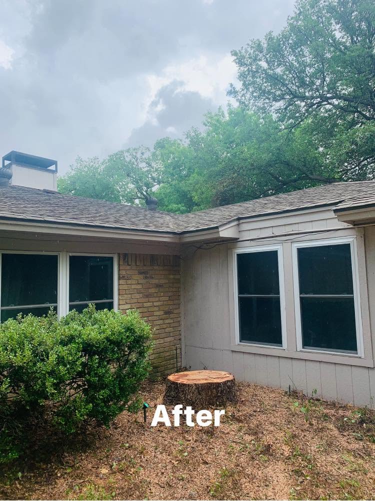 Finished property after tree removal and cleanup