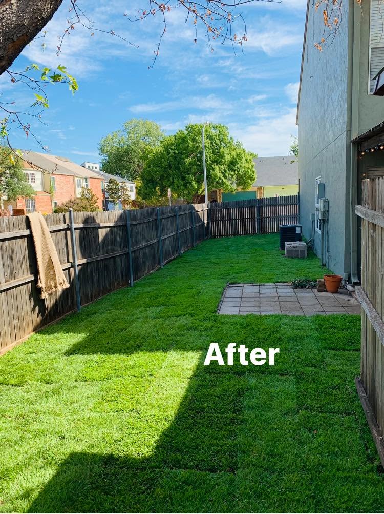Tree care project serving the Flower Mound area