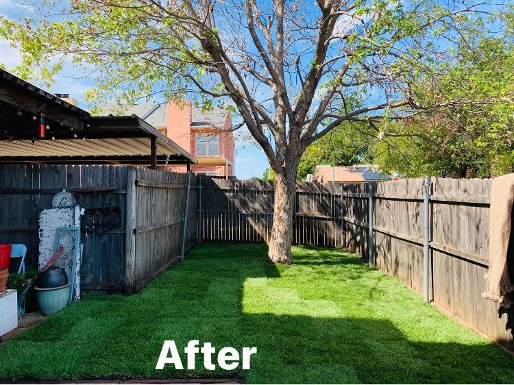 Tree care project serving the Westlake area