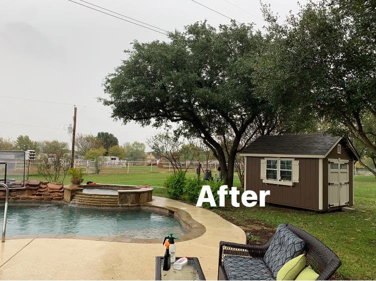 Tree care project serving the Trophy Club area