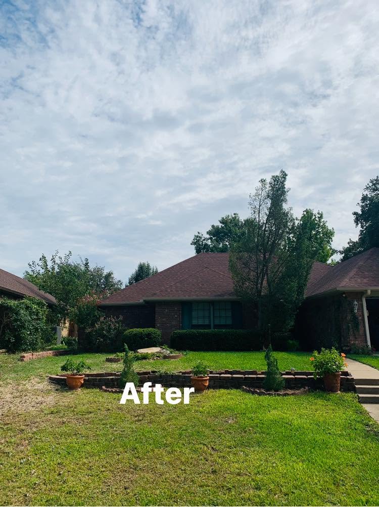 Routine Tree Trimming project