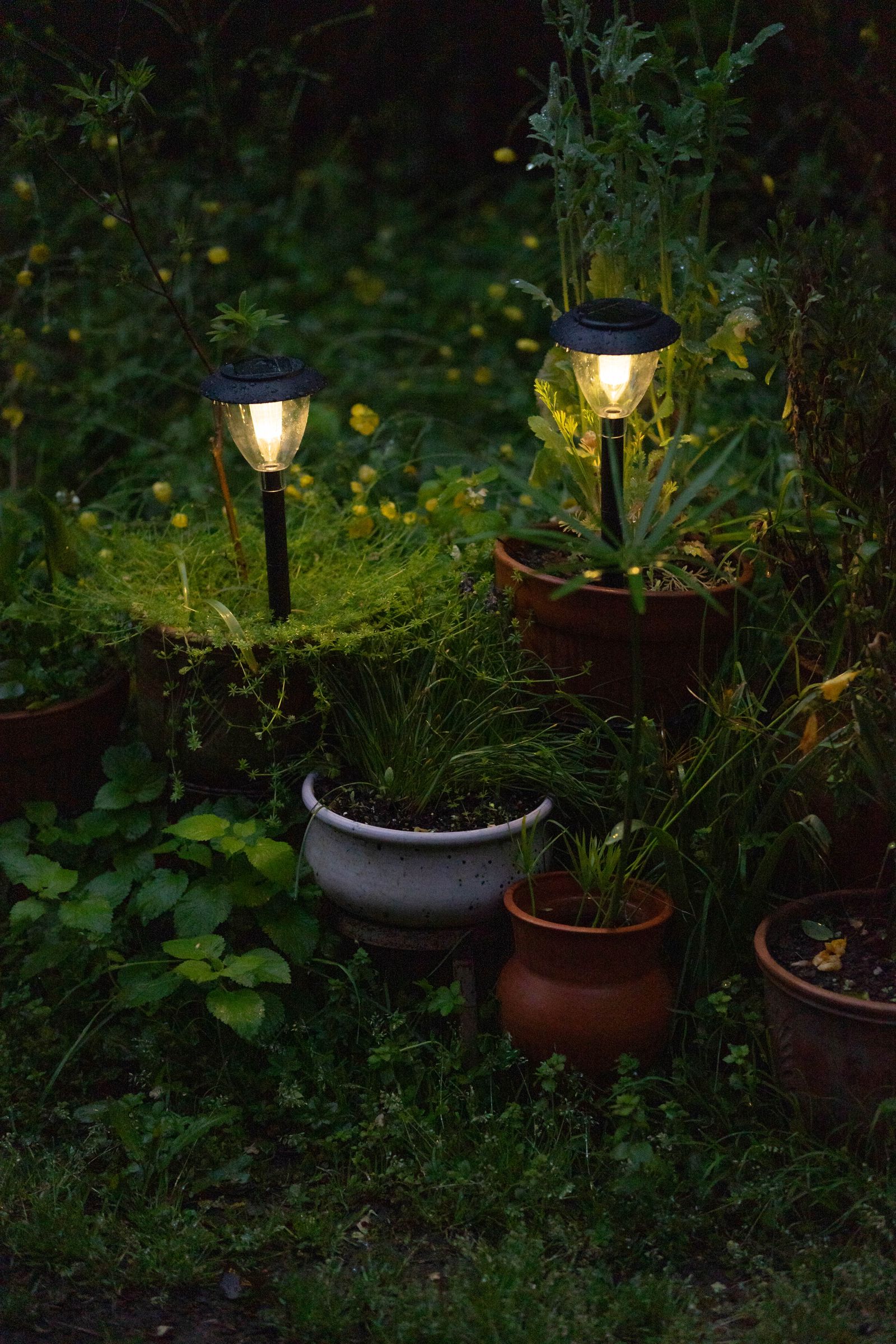 Landscape Lighting project
