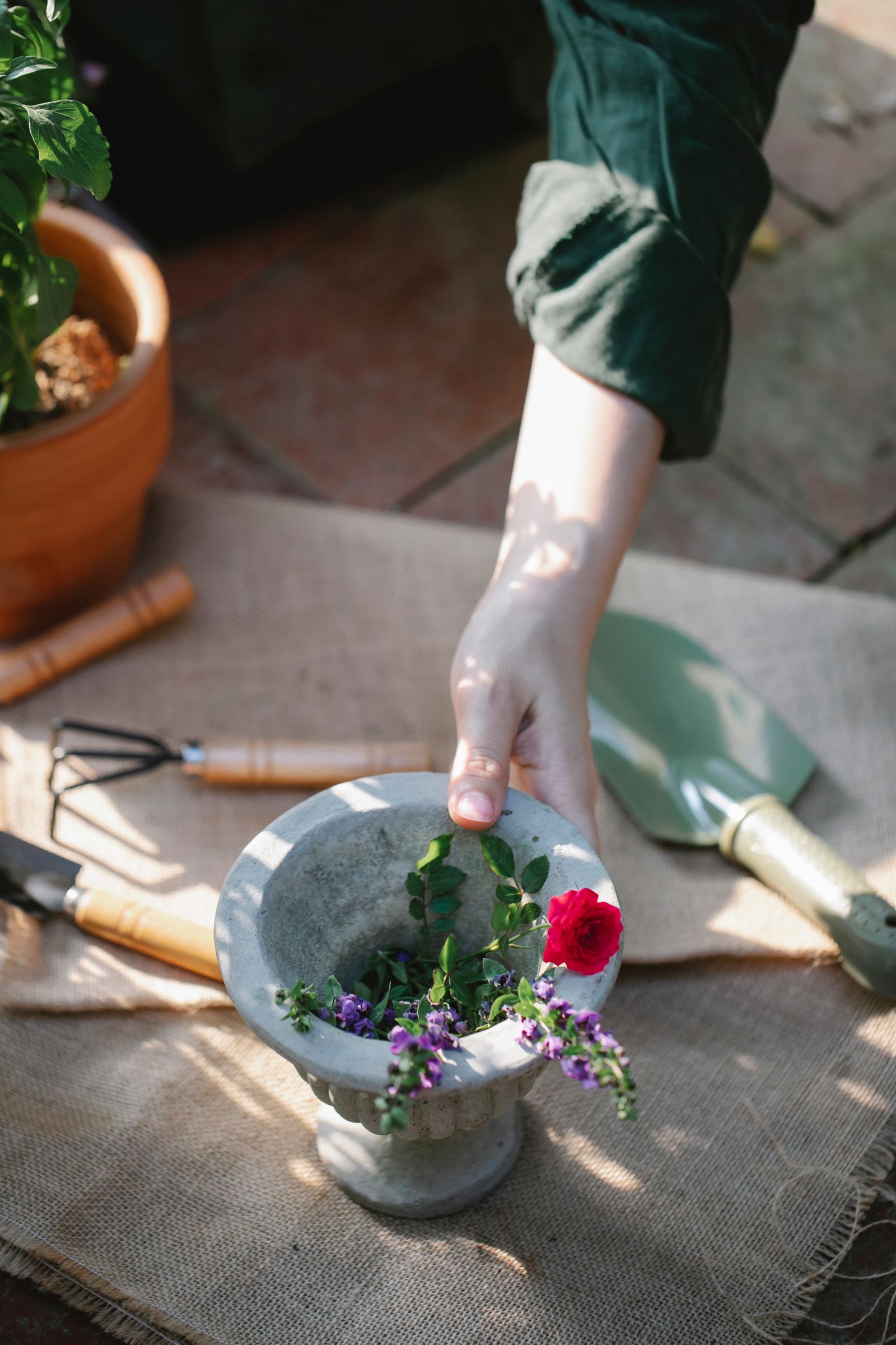 Annual Flowers project