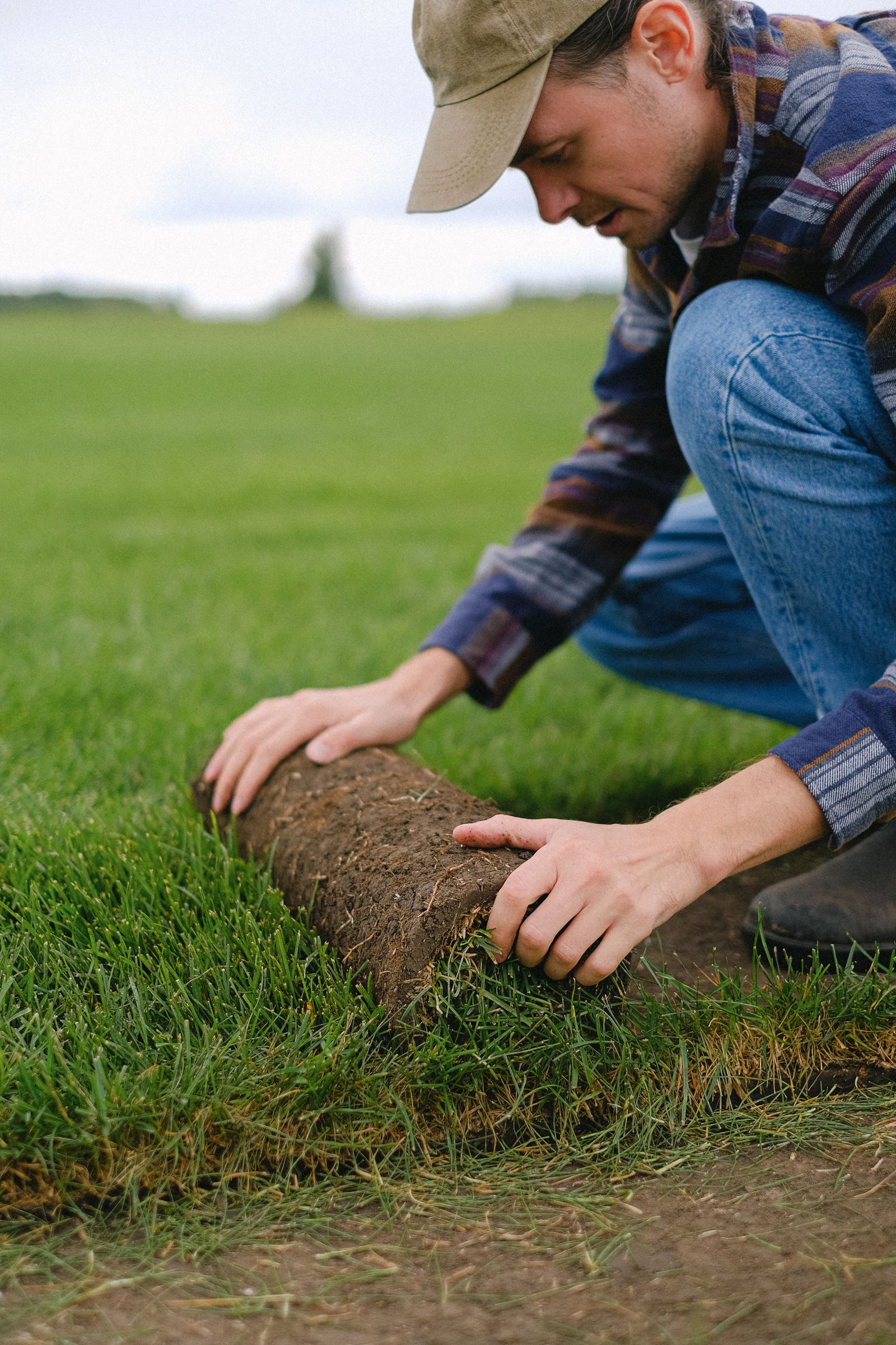 Sod Installation project