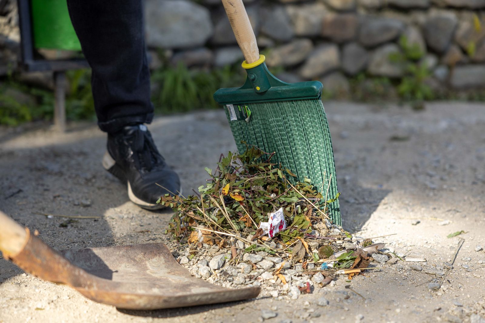 Fall Yard Cleanup project by Hernandez Tree & Care