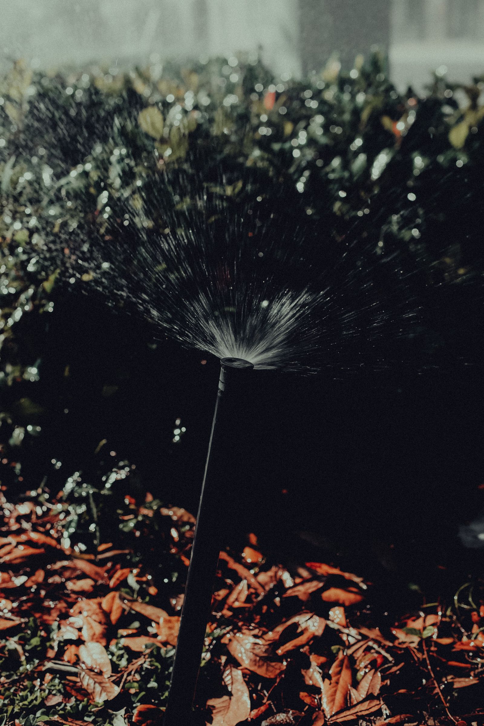 Irrigation Repairs project