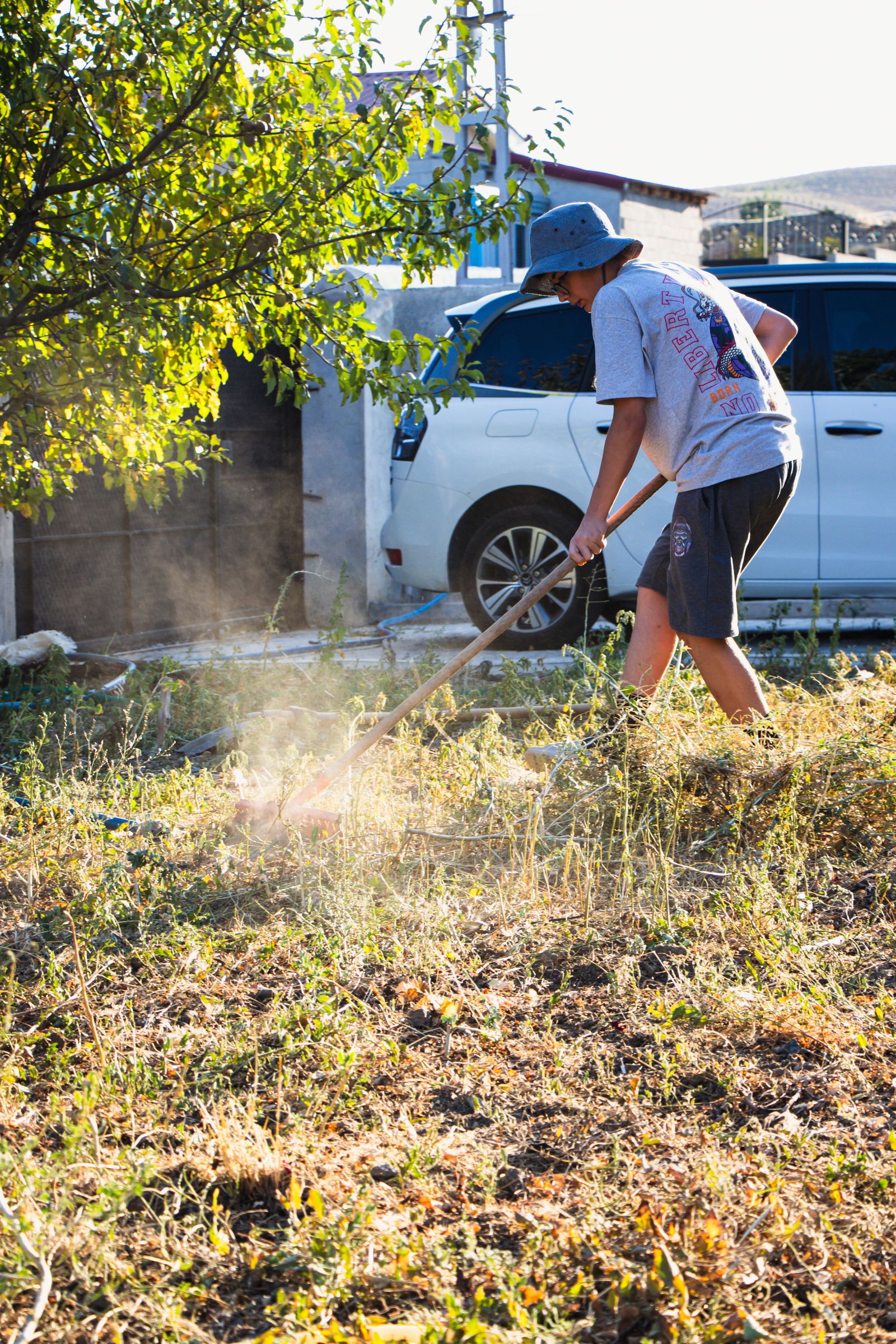 Leaf Removal project