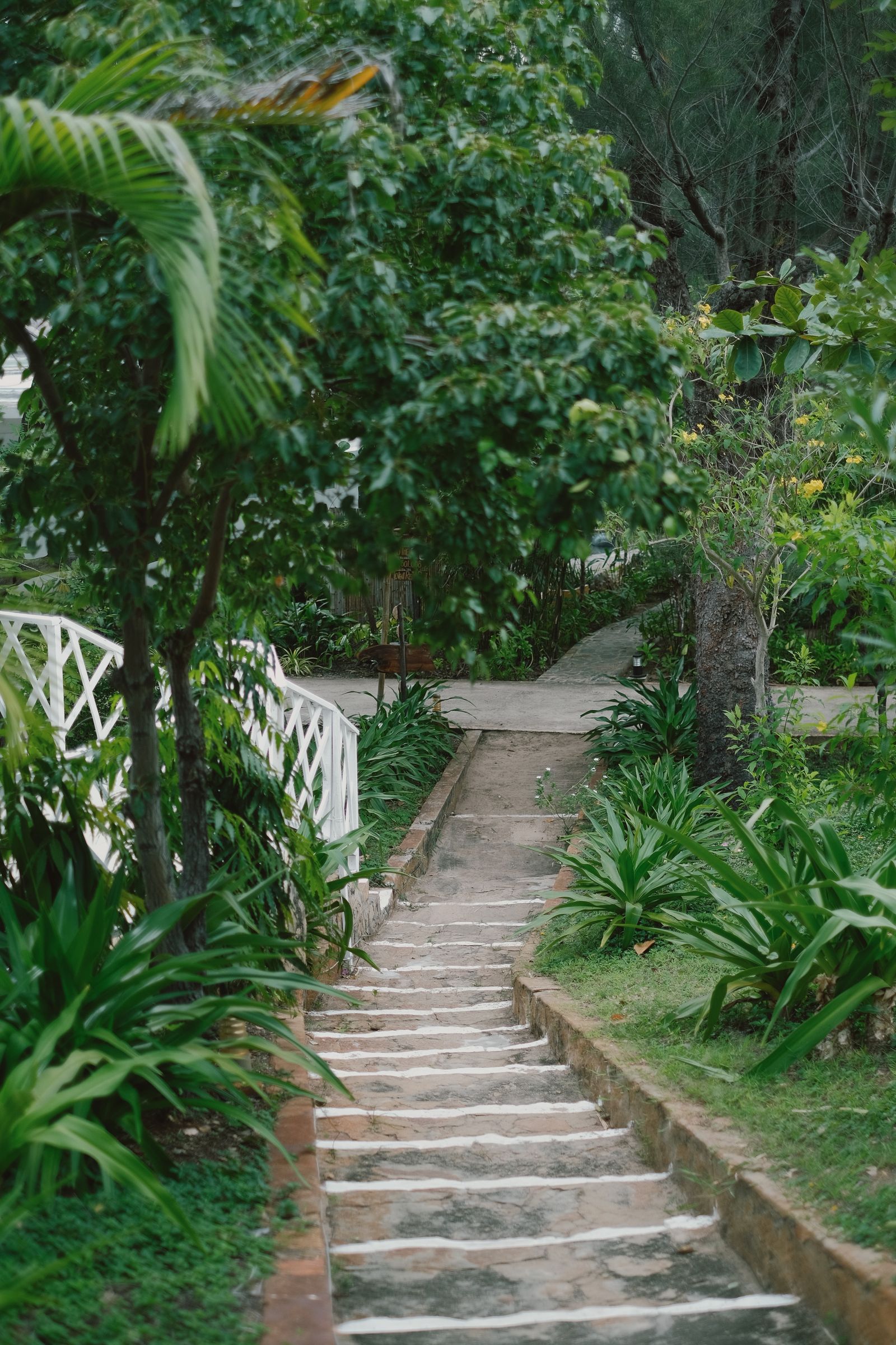 Outdoor Steps project by Hernandez Tree & Care